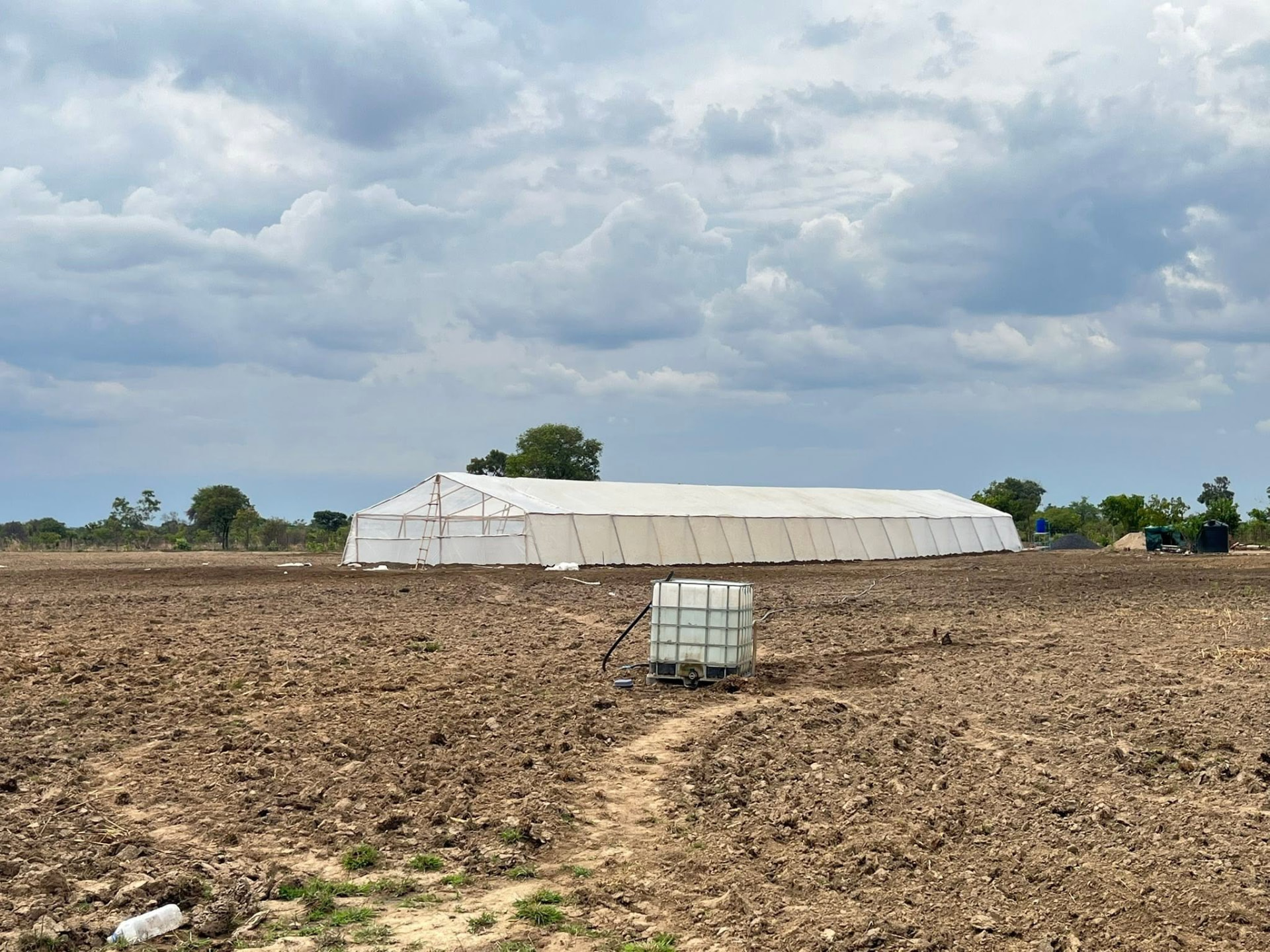 Large commercial greenhouse under construction on open farmland